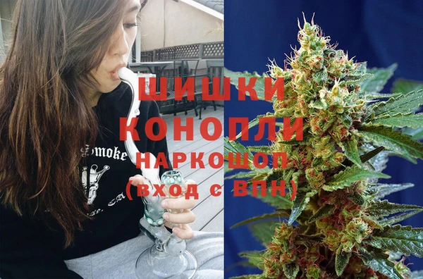 PSILOCYBIN Баксан