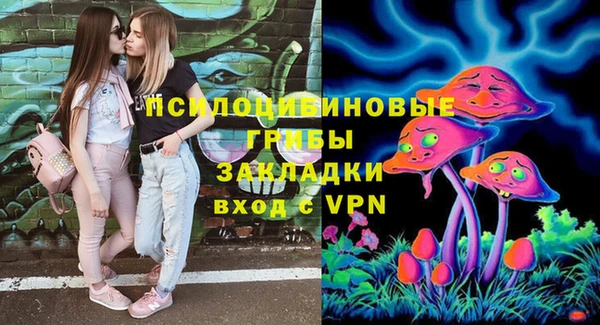 PSILOCYBIN Баксан